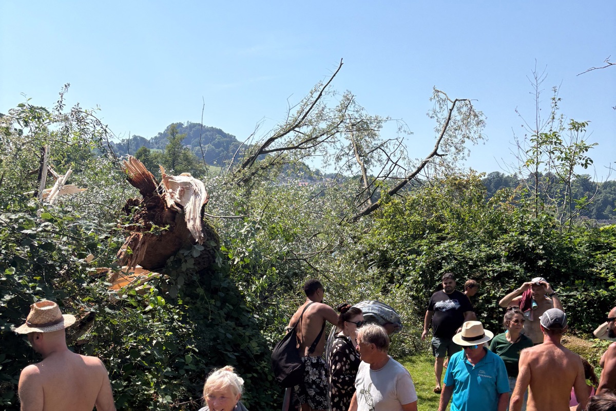 Ein umgestürzter Baum (links) sorgte in der Badi Flaach für Aufregung.