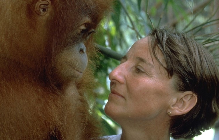 Regina Frey im Jahr 1999. Seit fast 50 Jahren setzt sie sich für den Schutz der Orang-Utans ein.