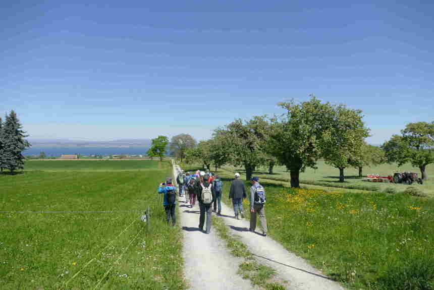 0805 9 Blueschtwanderung Durch Mostindien Ts
