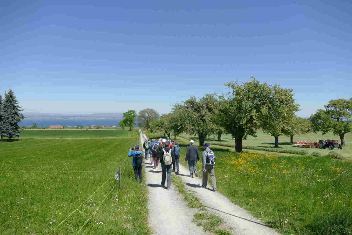 Unvergesslich bleibt die Frühlingswanderung vom 30. April durch Mostindien: Bei Sonnenschein, jedoch tückischer Bise, führte die Route von Berg TG über Birwinken nach Altnau – begleitet von blühenden Obstbäumen und herrlichem Alpen- beziehungsweise Bodenseeblick.