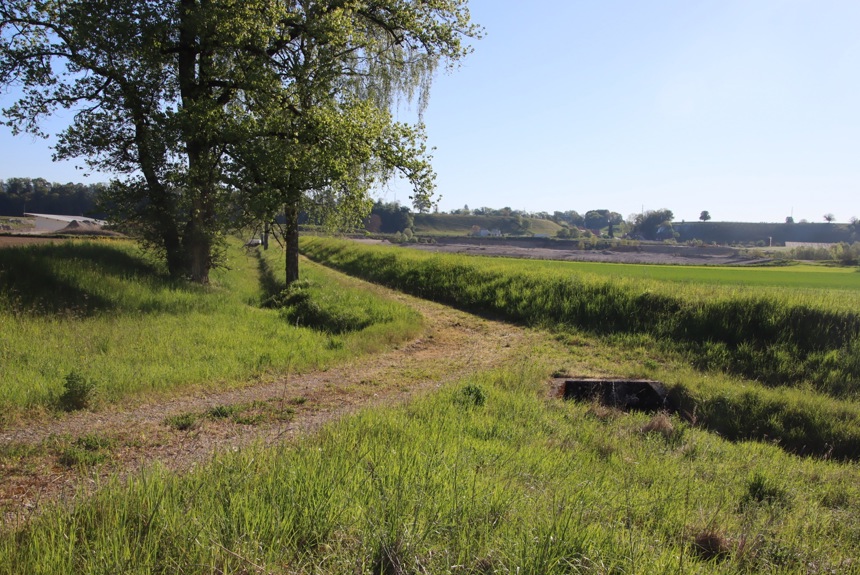 1205 4 Flurwege Romue21