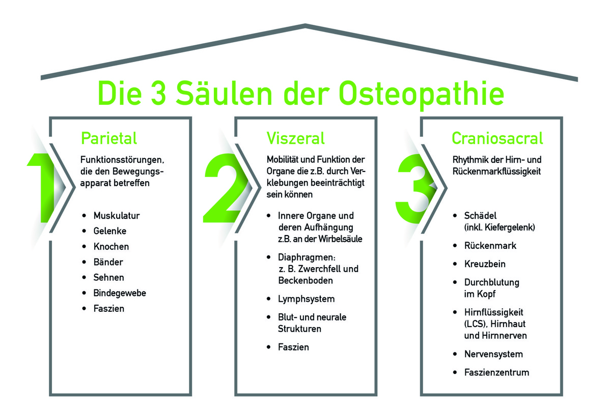 Die Osteopathie basiert auf drei Säulen.
