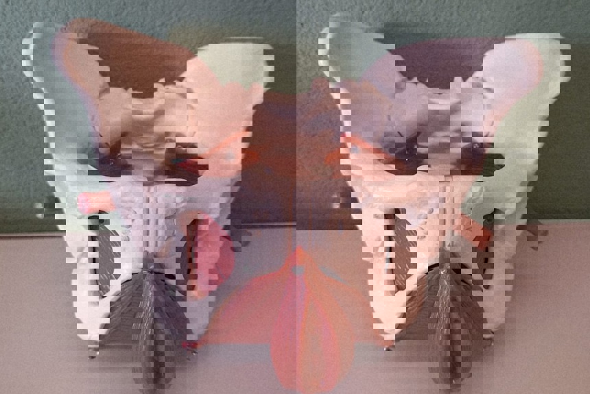 Bildschirmfoto 2026 02 27 Um 10.14.023