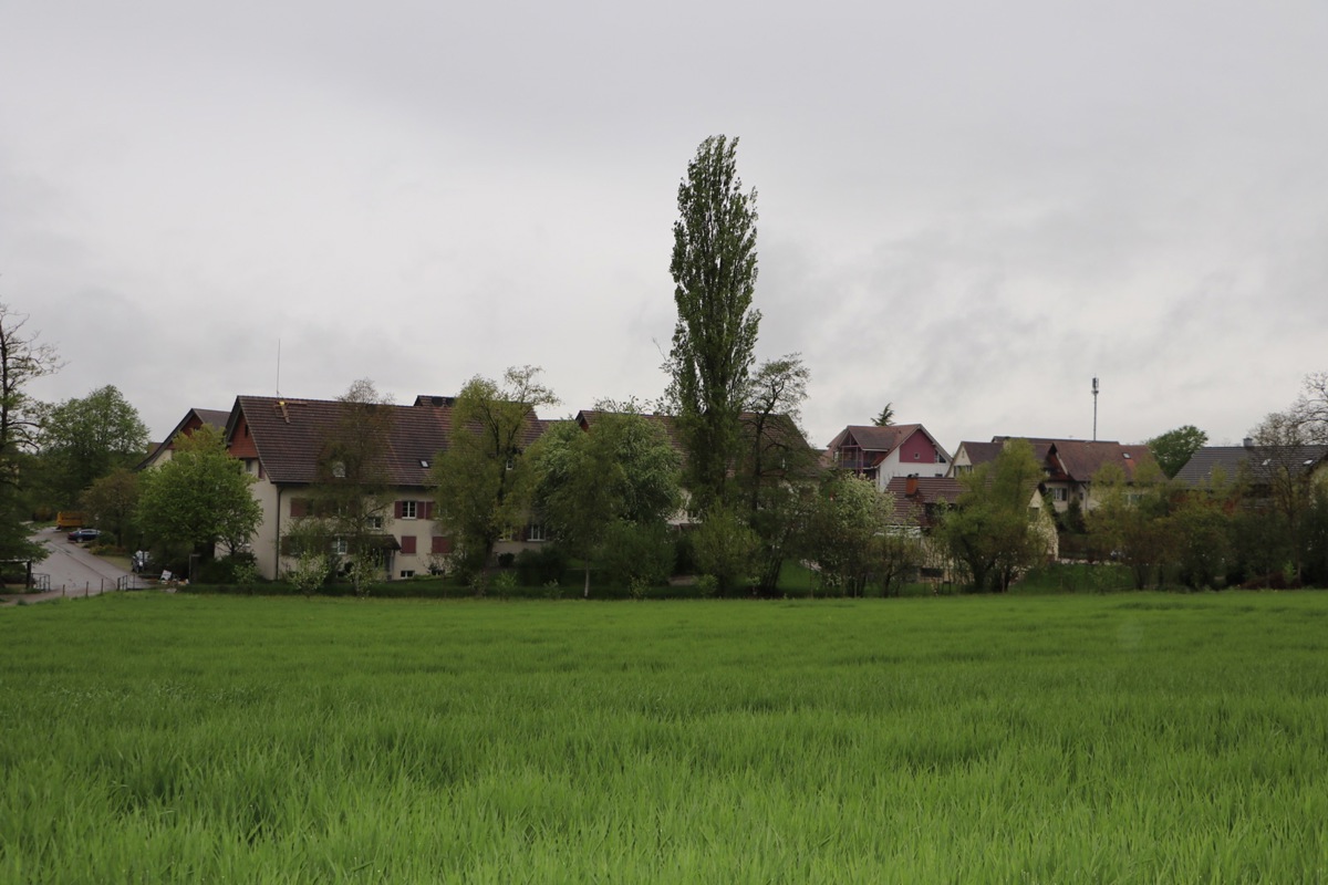 In Sichtweite der Swisscom-Antenne (rechts) will auch Sunrise eine Mobilfunkantenne bauen (links). Diese wäre dann auch nahe an der Schule.