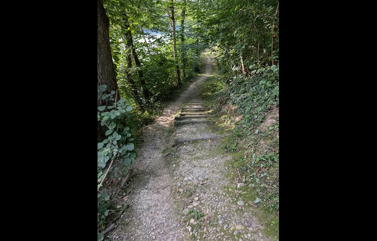 … und nochmals Stägeli ab. Hier hat es wenigstens genügend Platz, um bequem neben der Treppe hinunterfahren zu können.