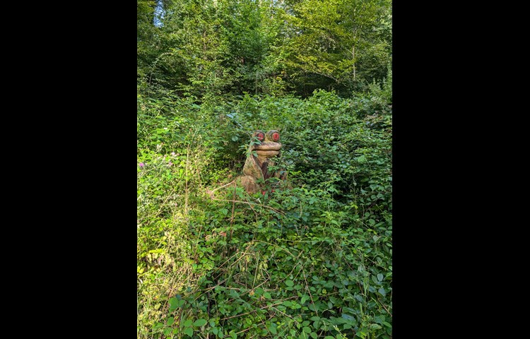 … etwas aufdringlich dreinblickende Tiere im Wald.