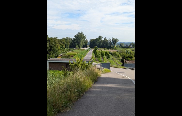 Unmittelbar nach der Brücke zweigt eine Strasse zum Naturzentrum Thurauen und zur Badi Flaach ab. Diesen Abstecher lasse ich aber aus.