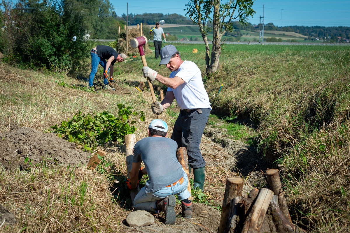 Strukturen wie diese am Hettlinger Wisenbach werden demnächst auch beim Ossinger Lattenbach eingebaut.