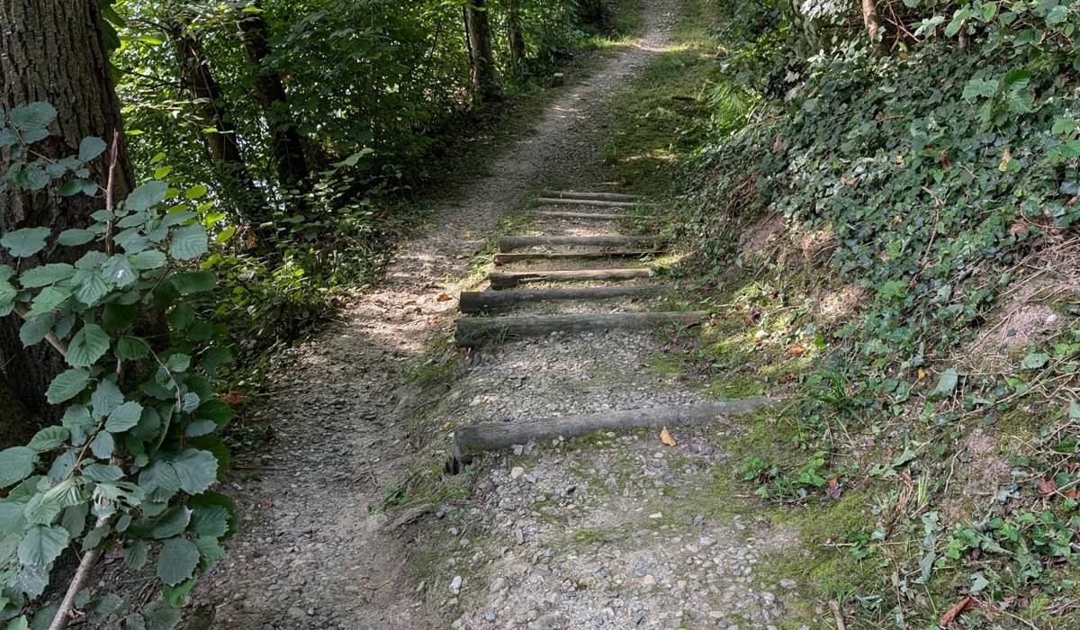 20_-und-nochmals-staegeli-ab-hier-hat-es-wenigstens-genuegend-platz-um-bequem-neben-der-treppe-hinunterfahren-zu-koennen.jpg