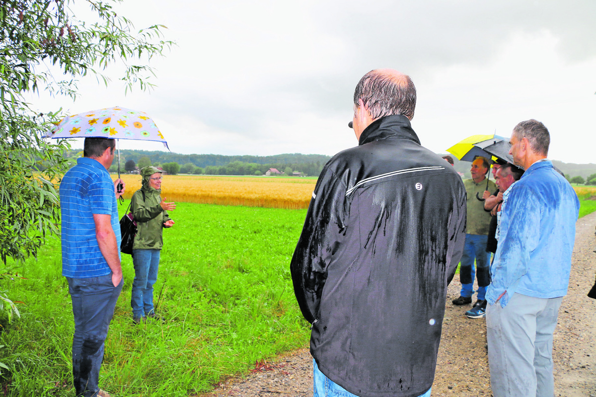 Beatrice Peter zeigte den Landwirten Biodiversitätsmassnahmen