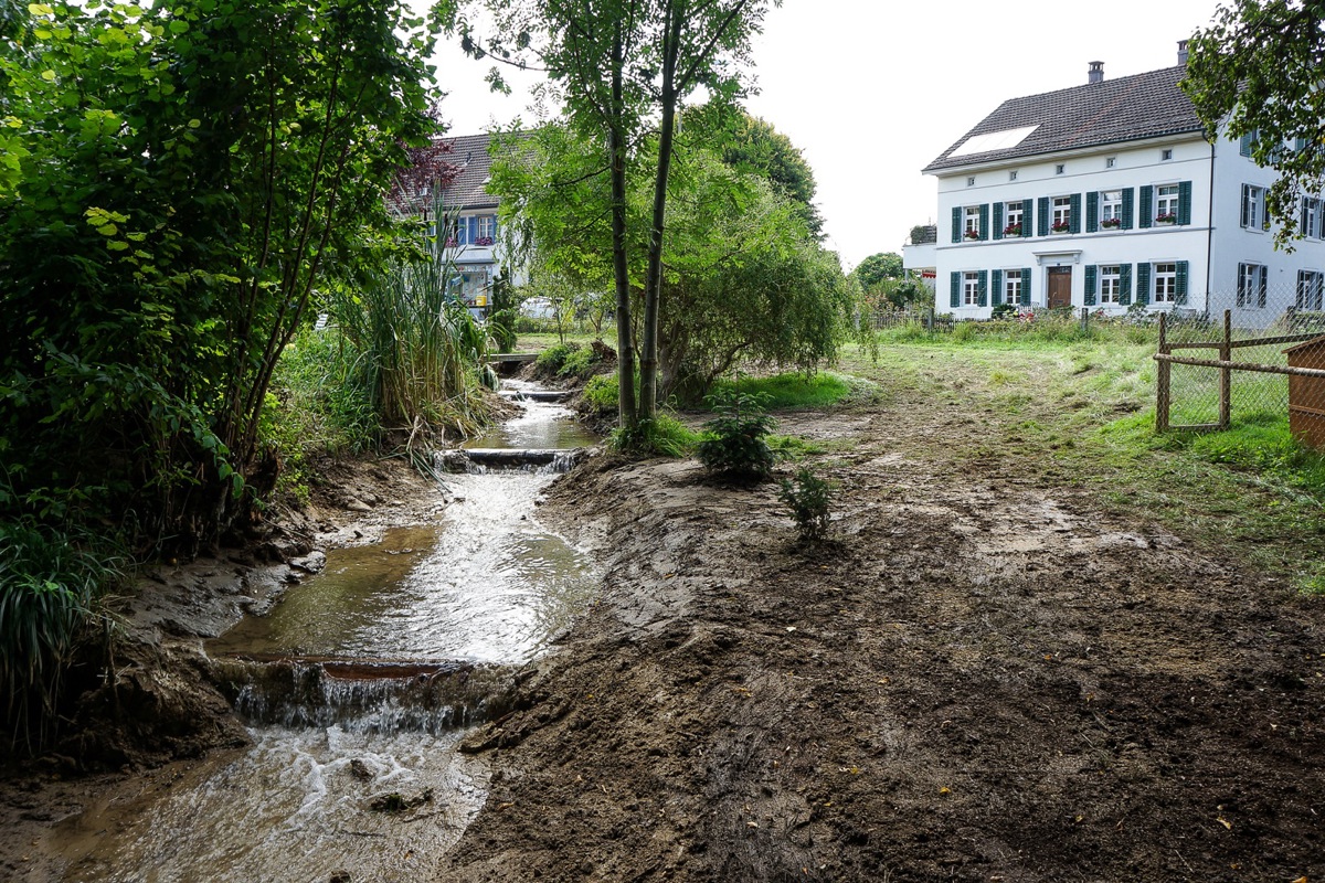 An dieser Stelle hat er seine frühere Arbeit bereits getan. Vor dem «Rank» in Andelfingen trieb der Mülibach einst vier der sechs Mühlen an