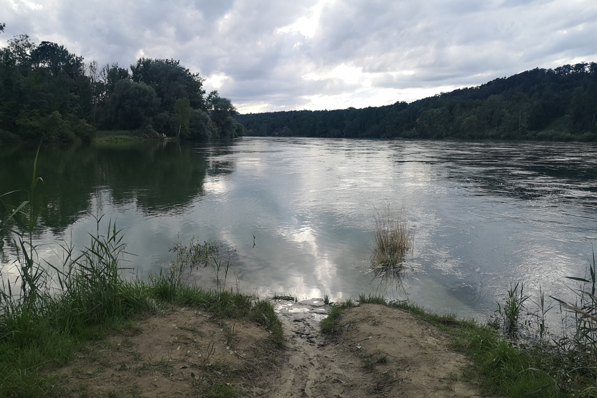 Geschafft: Zwischen Ellikon am Rhein und Flaach mündet die Thur (links) in den Rhein. Hier bei eher höherem Wasserpegel.