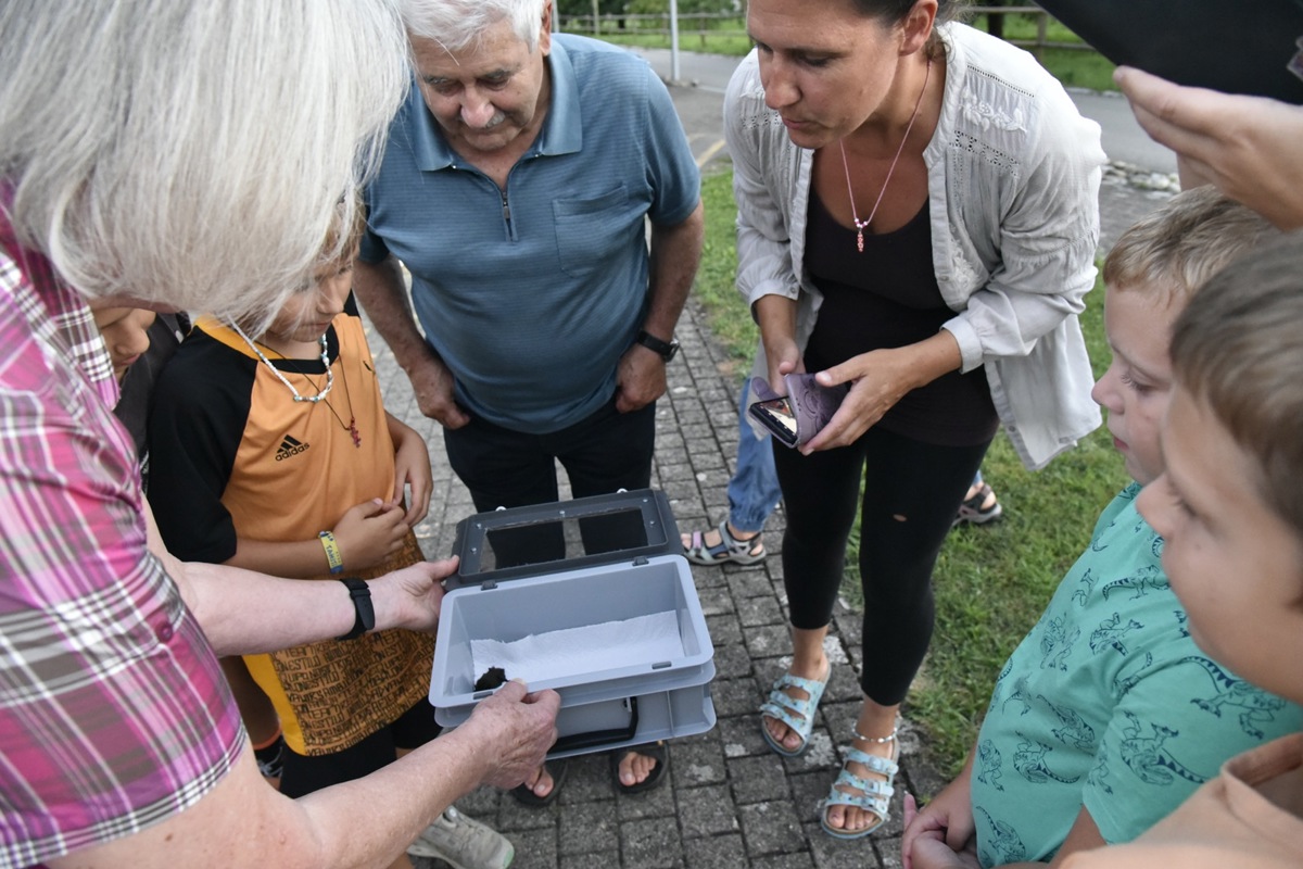 Sophie Baumann zeigt den Anwesenden die junge Fledermaus