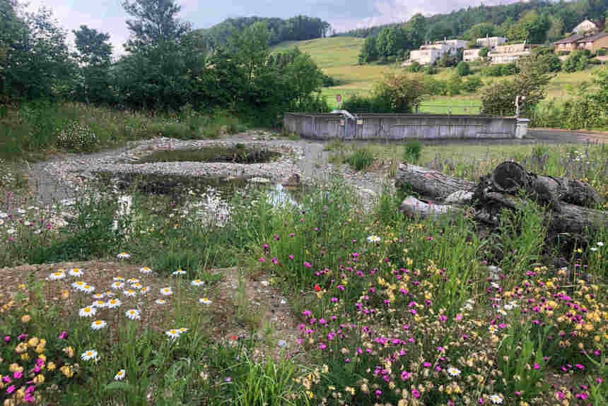 0303 5 Eggenwil Jahr Danach Zvg