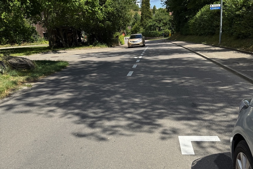 2807 1 Parkfelder Cs2