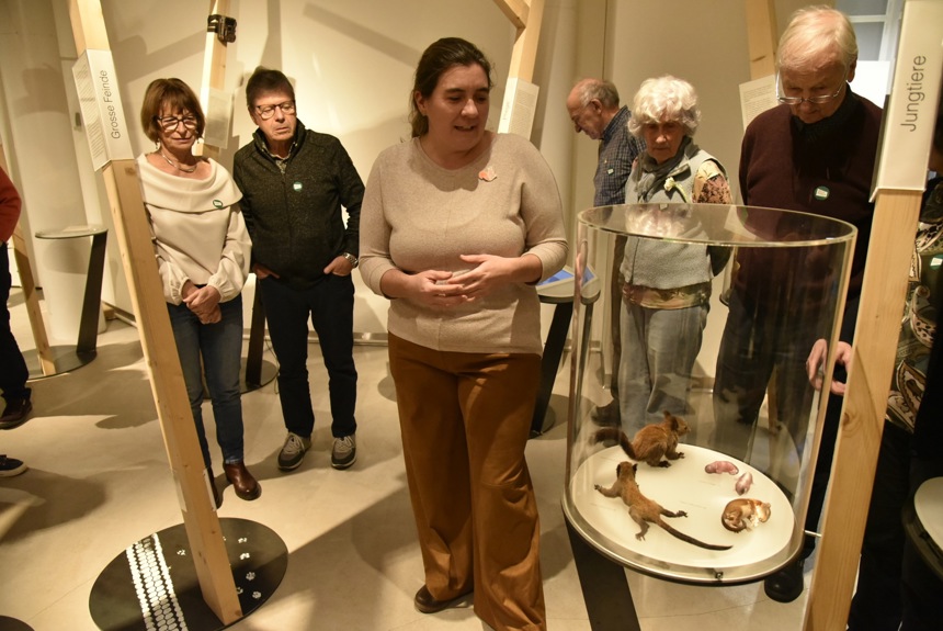 0212 3 Eichhoernchen Schnurrenberger Cs1