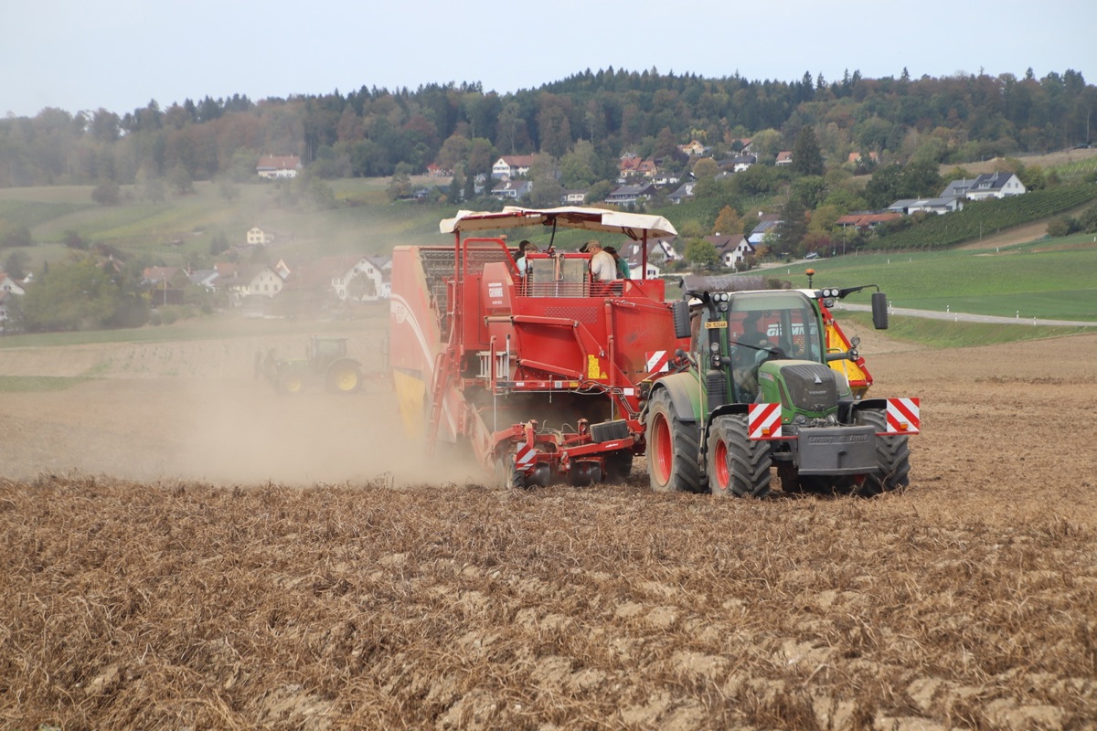 Vielerorts im Weinland wird im Oktober die Kartoffelernte abgeschlossen.