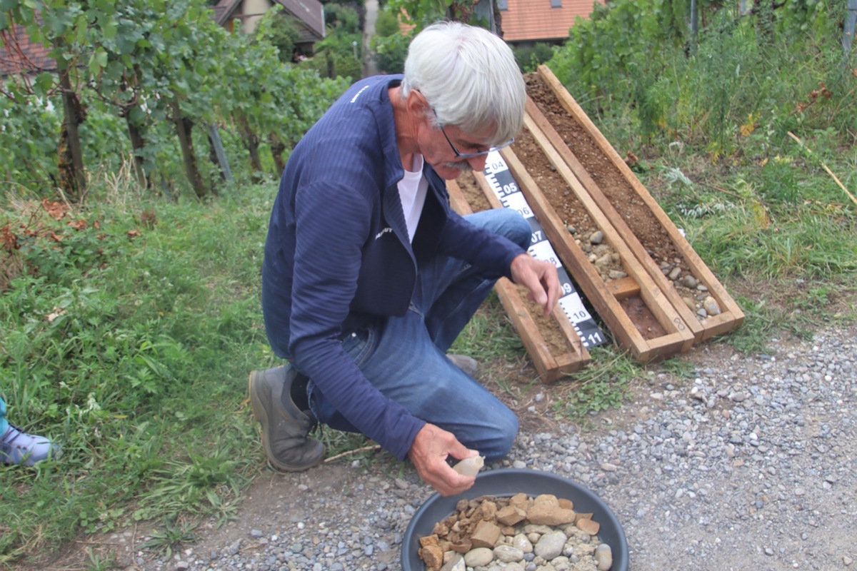Peter Schwab erklärte, dass runder Kies, Steine und Sand Zeitzeugen der Gletscher seien, die dieses Geröll transportiert hätten. Klicken Sie auf das Bild für die Vollansicht.