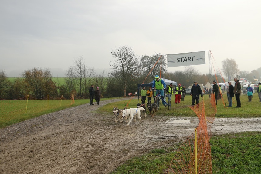 1012 11 Hunderennen Archiv15