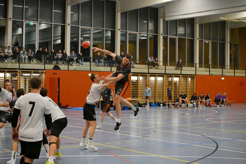 0210 13 Handball Zvg24