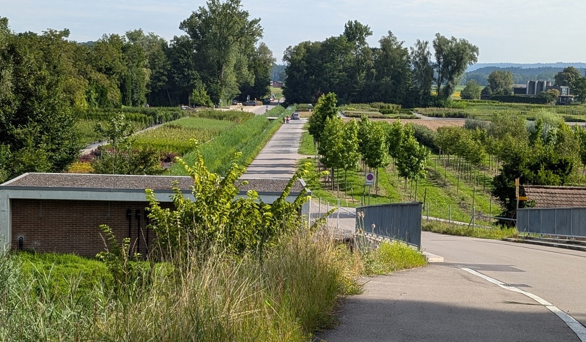 46_unmittelbar-nach-der-bruecke-zweigt-eine-strasse-zum-naturzentrum-thurauen-und-zur-badi-flaach-ab-diesen-abstecher-lasse-ich-aber-aus.jpg