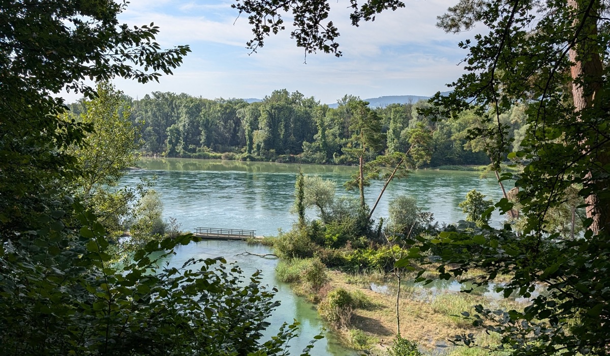 37_aber-auch-aus-der-hoehe-laesst-sich-das-naturschutzgebiet-beobachten.jpg