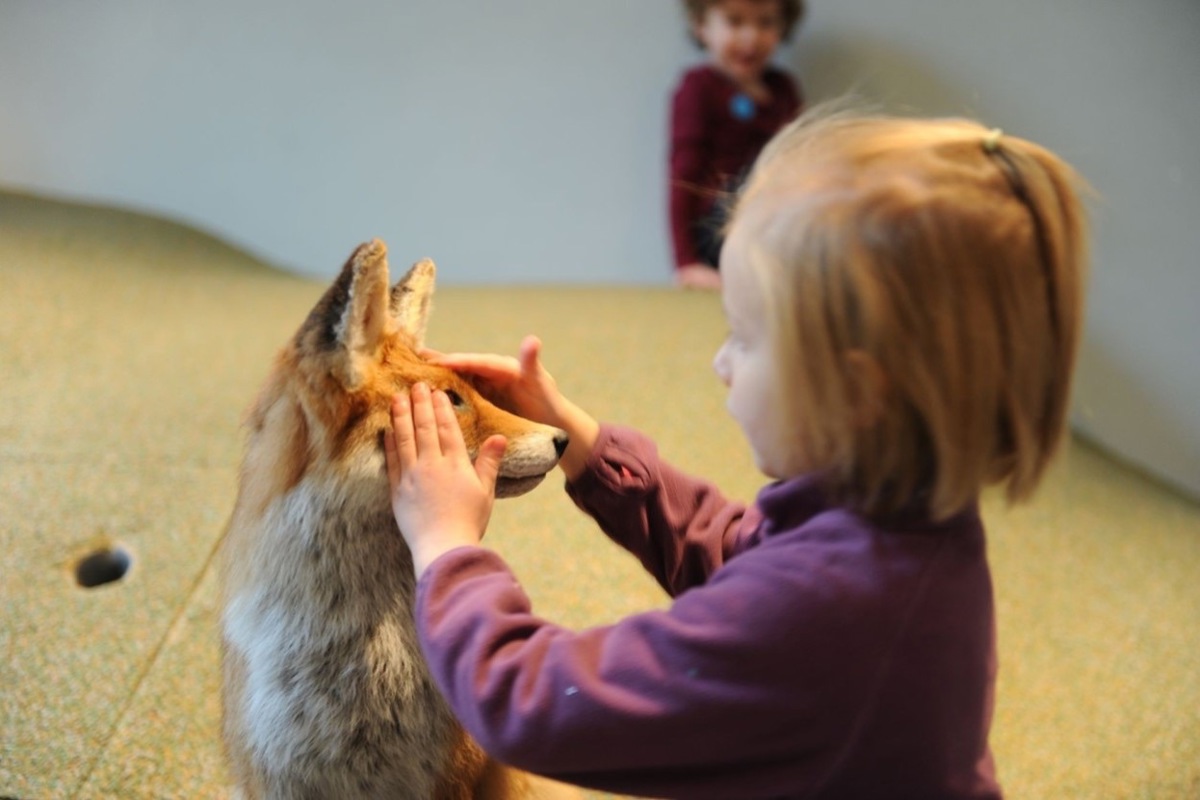 Natur im wörtlichen Sinne begreifen – das können Kinder in einem Teil des Naturmuseums Winterthur.