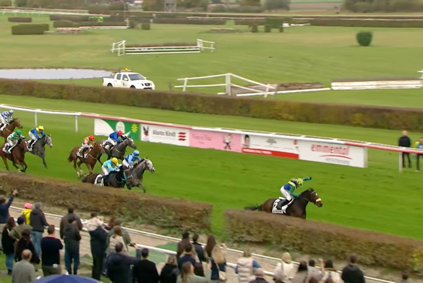 2410 11 Pferdesport Zvg12 2410 11 Pferdesport Zvg12