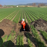 0906 4 Oerlingerried Bodenansprachen Parzelle 3620 Gemacht Zvg25