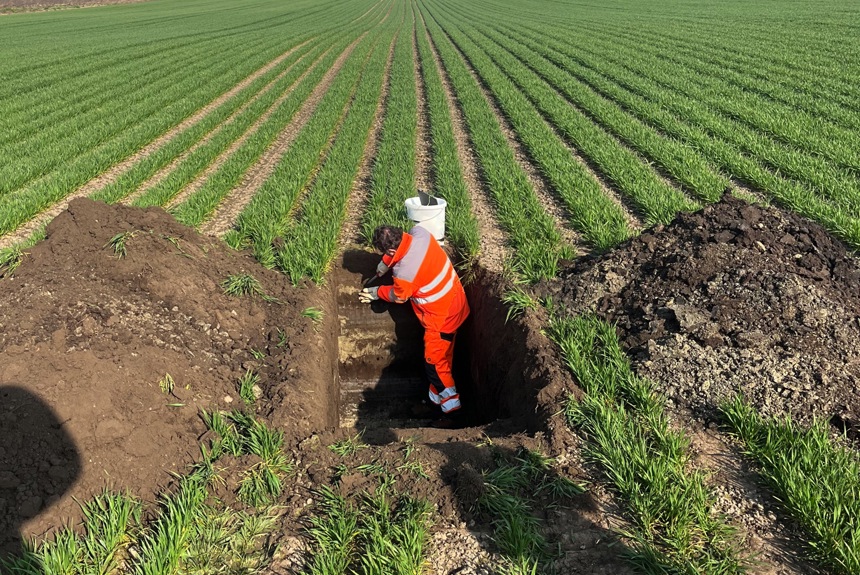 0906 4 Oerlingerried Bodenansprachen Parzelle 3620 Gemacht Zvg25