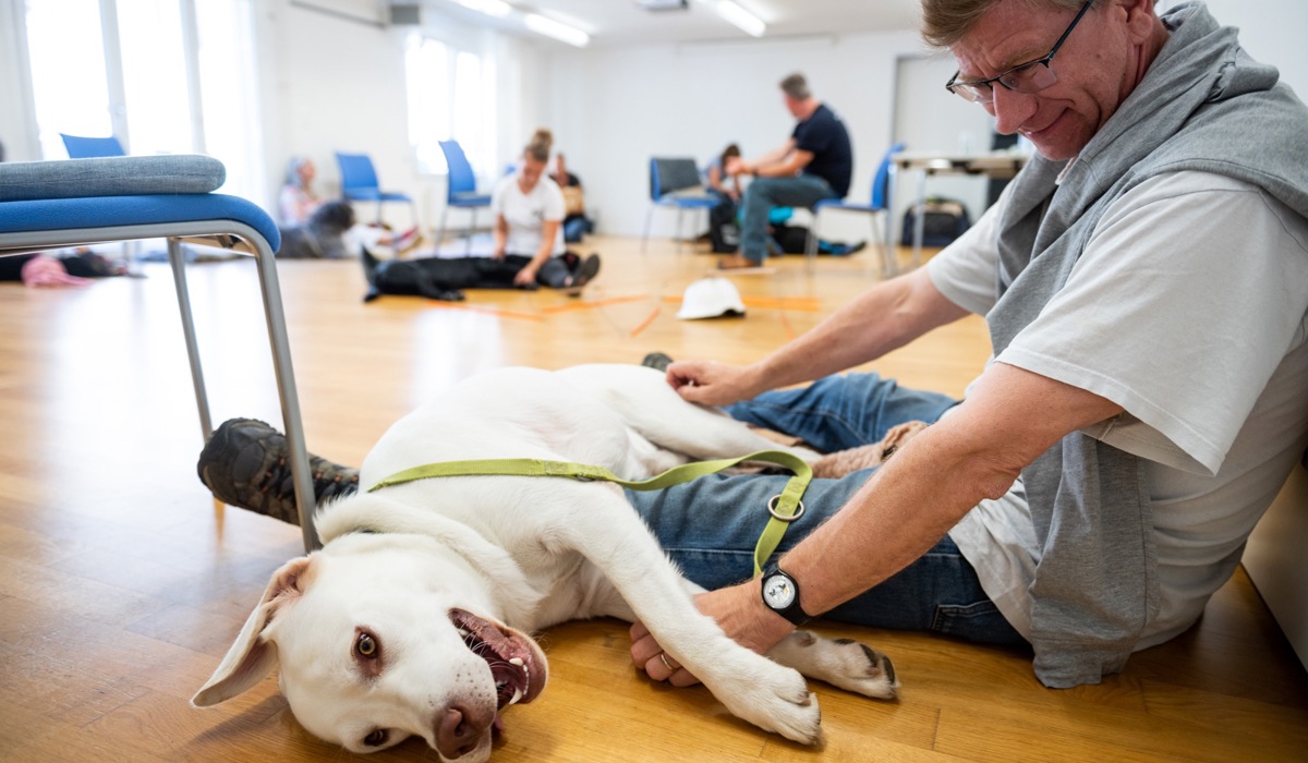 serge-und-cody-bei-einem-junghundeseminar-auch-entspannung-soll-geu-bt-werden_vor-allem-mit-vielen-weiteren-hunden-im-raum_zvg.jpg