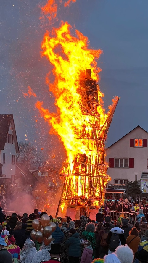 2001 1 Hilari Boeg Fw1