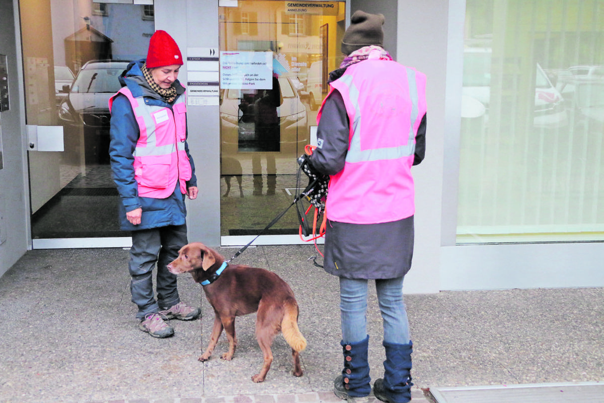 Das ZW-Trailers-Gespann Nicole und Simba vor dem Start.