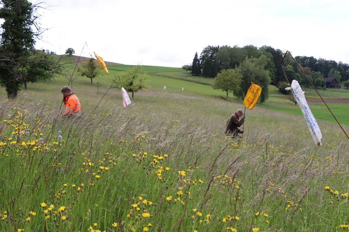 Unterstützen die Landwirte nach Kräften beim Tierschutz in der Heusaison: die Jagdaufseher Oskar Reutimann (links) und Wolfram Fölling und ihre Teammitglieder Marius Maszenauer und Judith Moser (beide nicht auf dem Bild). 