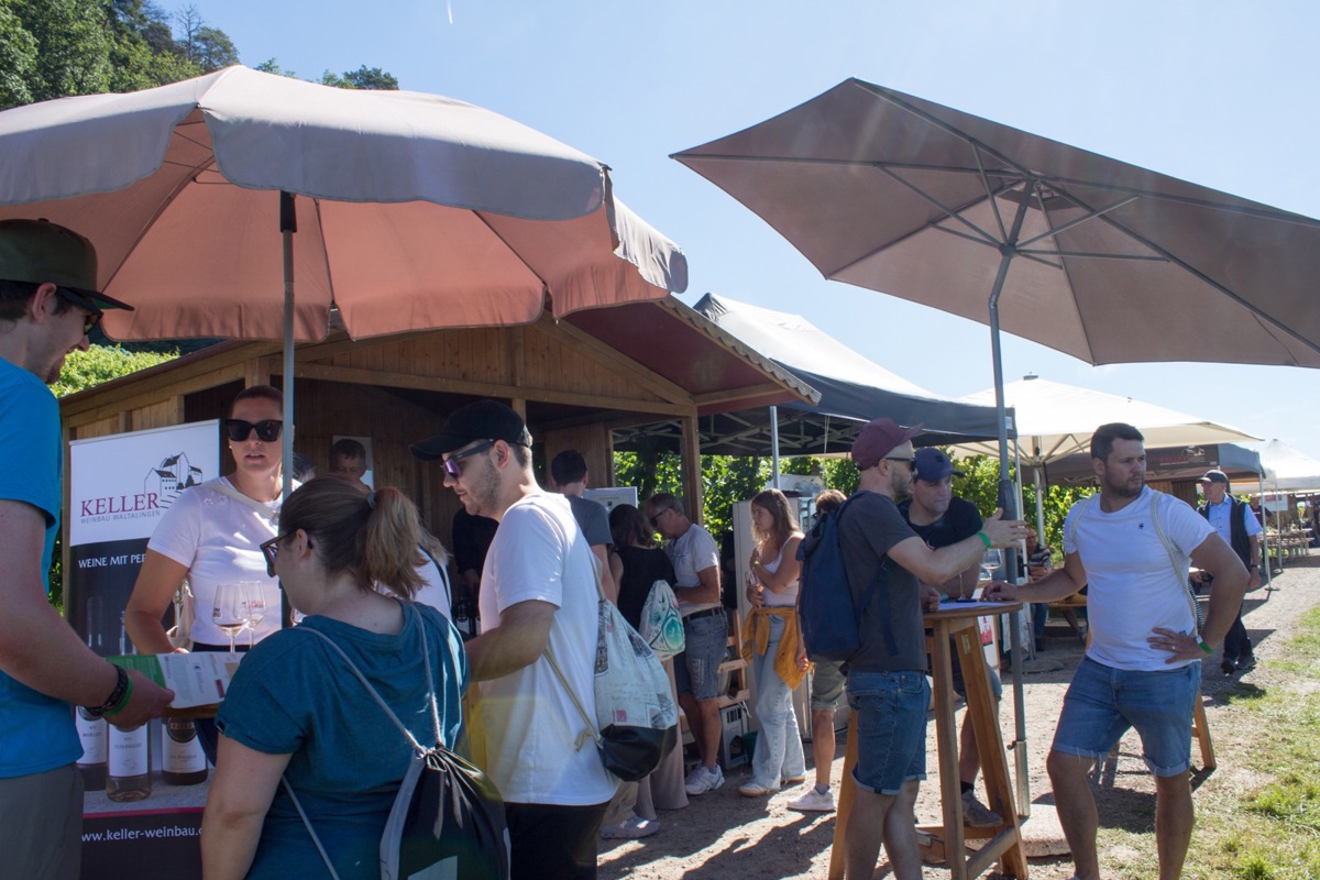 Wenn im Rebberg Degustationshäuschen an Degustationshäuschen steht, ist «Wein im Rebberg». Nach der Premiere in Stammheim (Bild) sind dieses Jahr am 29. und 30. August drei Standorte dabei.