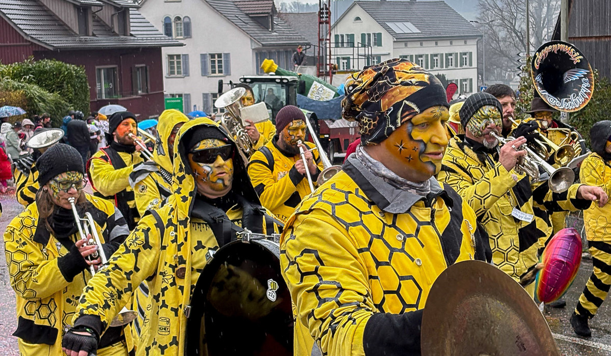 1803 3 Fasnacht Afi 4 Cob