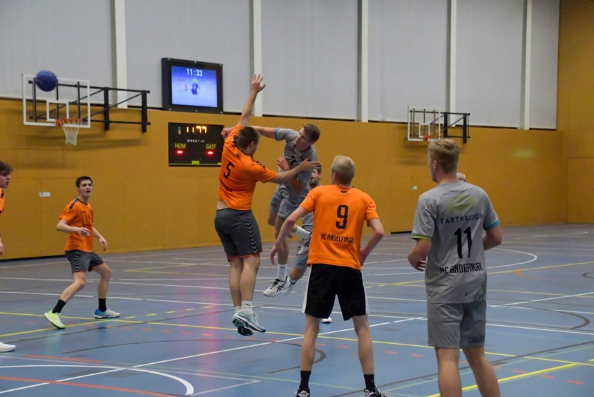 3110_13_handball_zvg9.jpg