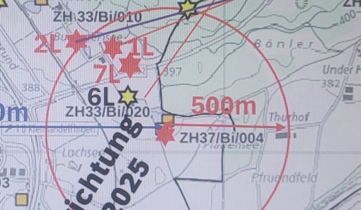 1010 3 Hornisse Flugrichtung Zvg17