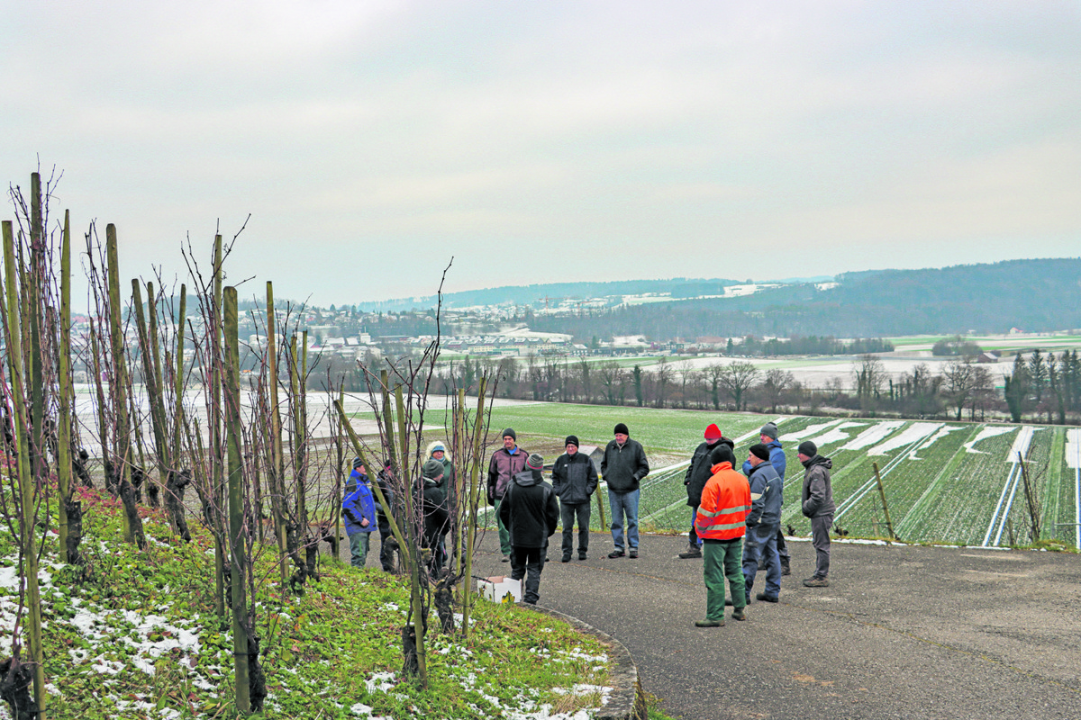 Bei starker Bise traf sich ein gutes Dutzend Interessierte am Schiterberg