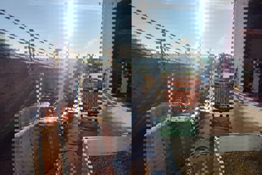 0710 8 Wiesendanger Weingut Zvg12