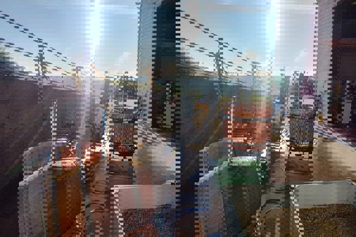 Der 2025er ist geerntet.