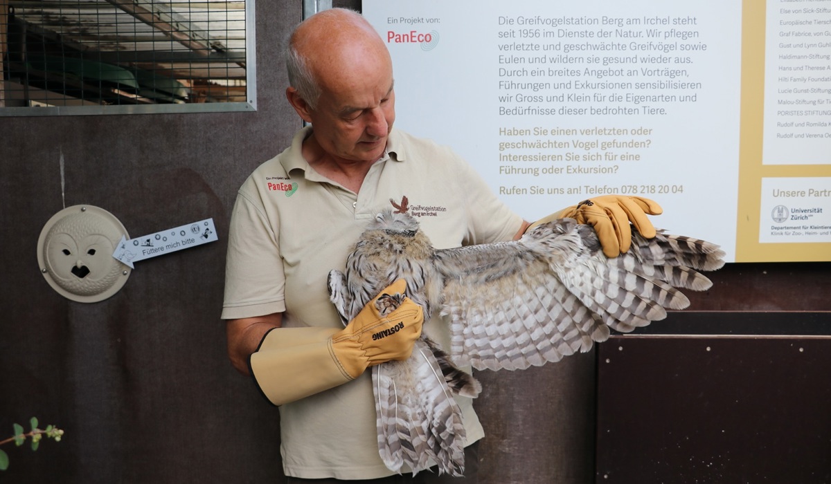 0707_1_habichtskauz-greifvogelstation-andi-lischke_jbe.jpg