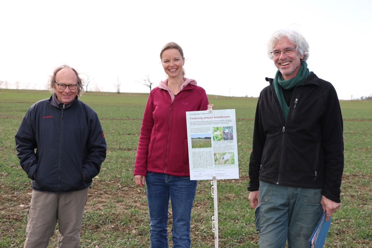 Die Landwirte Noldi Trachsler (l.) und Stefan Zäch mit Projektbegleiterin Nina Lohri auf dem Projektacker.