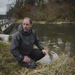 2402 5 Rhein Fischsterben Aal Wasserkraft Bittner Jonas Steiner 9