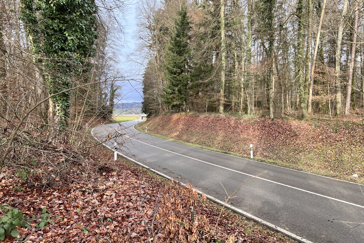 In der Innenkurve der Schaffhauserstrasse werden die Röhren der Verbindungsleitung verlegt.