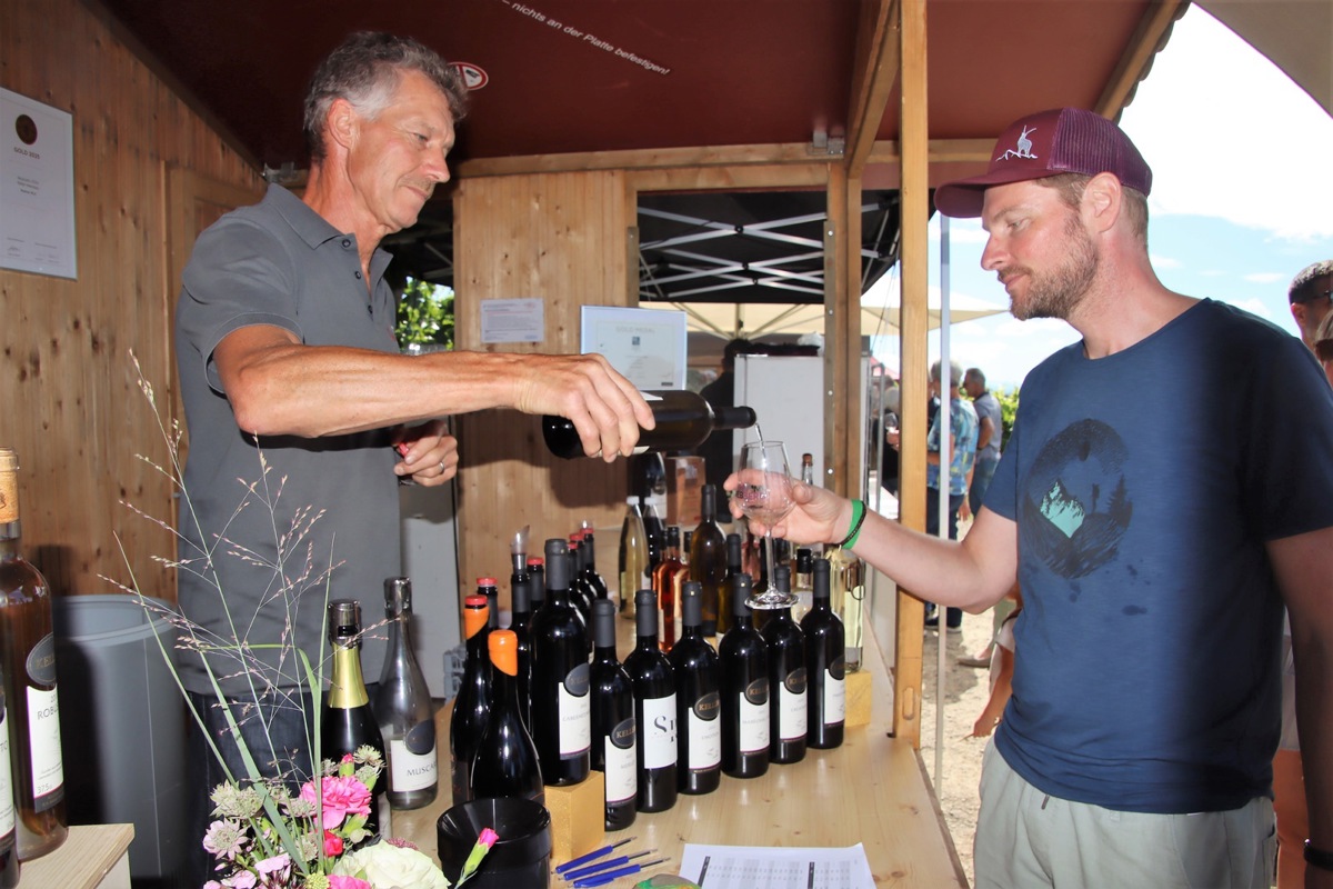 Die Premiere von «Wein im Rebberg» fand im August 2025 in Unterstammheim statt. 