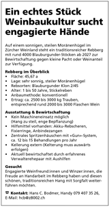 Bildschirmfoto 2026 01 29 Um 15.19.44