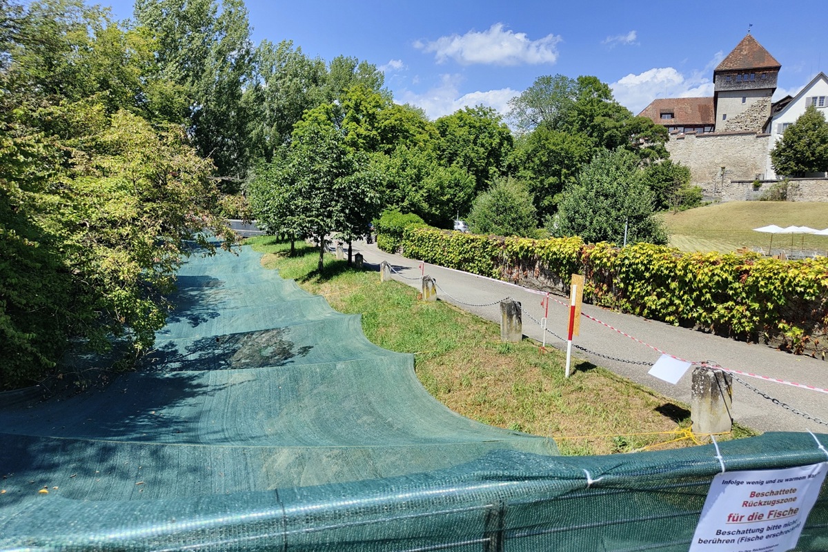 Beim Unterhof in Diessenhofen fliesst der Geisslibach unter einem Schattendach in den Rhein.