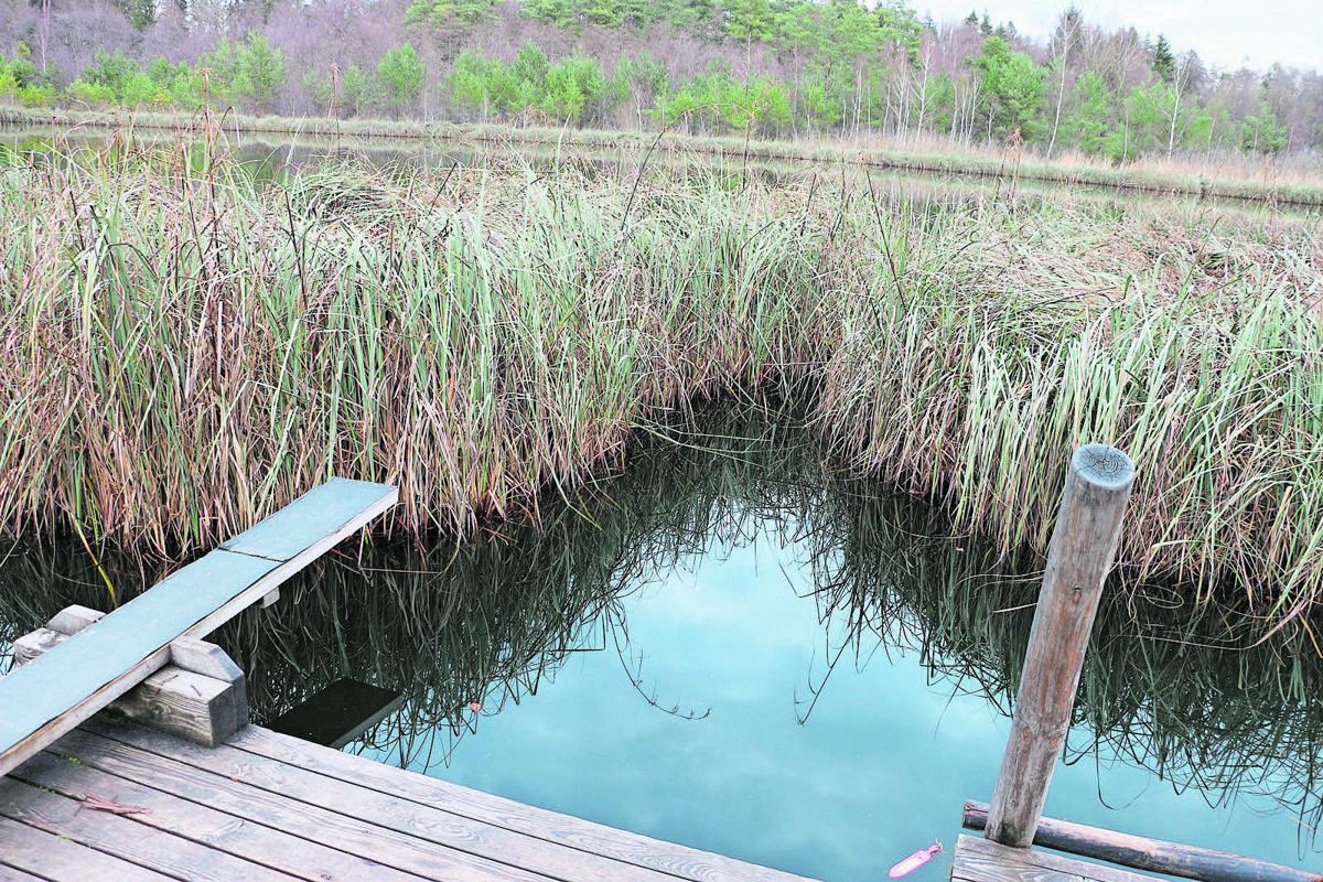 Der Barchetsee ist bekannt wegen seiner schwimmenden Inseln. Und wegen des Verbrechens vor 17 Jahren.