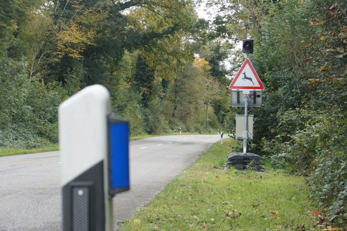 Blaue Wildwarnreflektoren an Strassenpfosten streuen Licht zur Seite und sollen Tiere abschrecken. Die neue Anlage richtet sich an Menschen. 